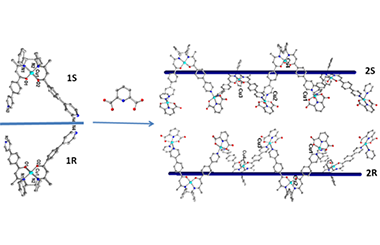 Construction of Chiral One-dimensional Chains via Mononuclear Chiral Precursors and Circular Dichroism Properties 2011-3008